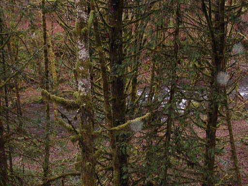 IMGP0374
