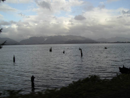 IMGP0384