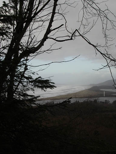 IMGP0390