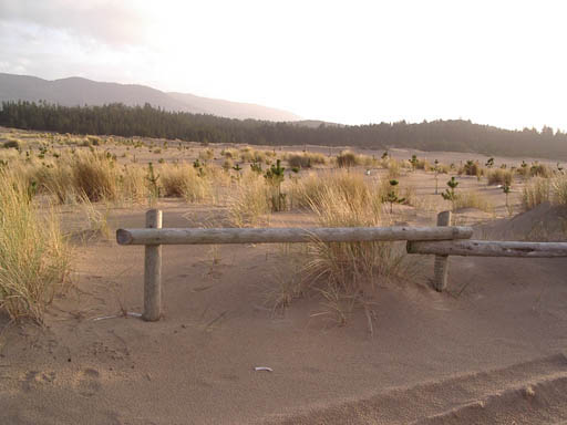 IMGP0398