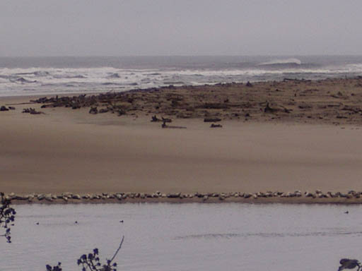 IMGP0416