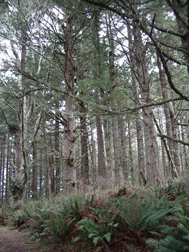 IMGP0434