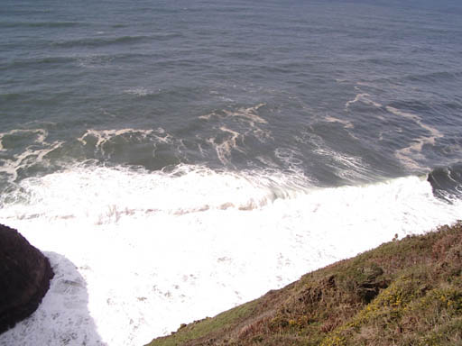 IMGP0459
