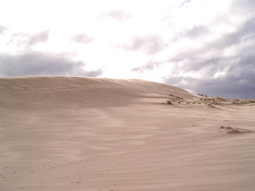 IMGP0470