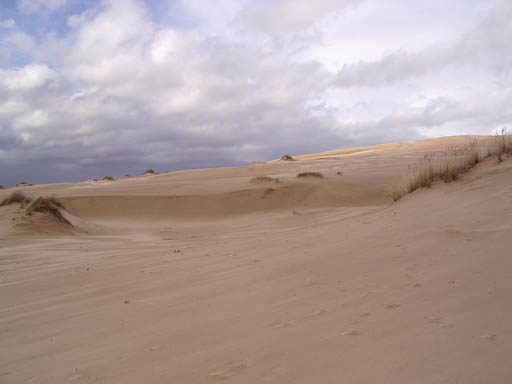 IMGP0471