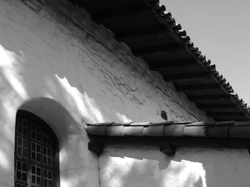 IMGP0542
