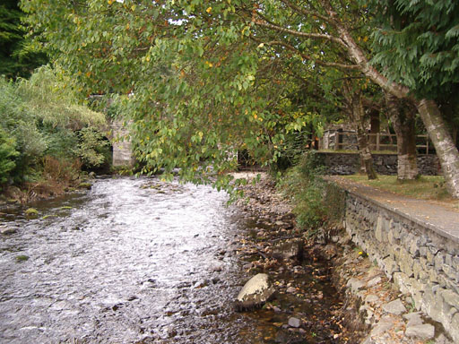 IMGP0093