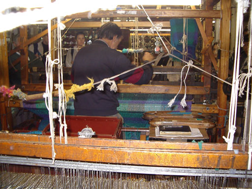 IMGP0100--weaver