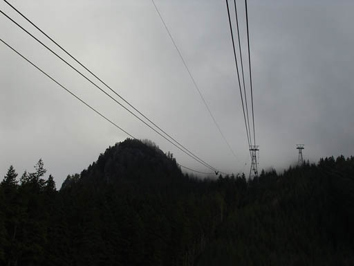 IMGP0193