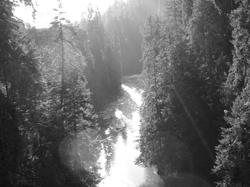 IMGP0244