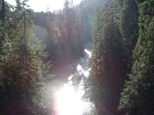 IMGP0246