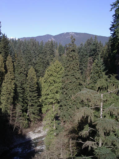 IMGP0258