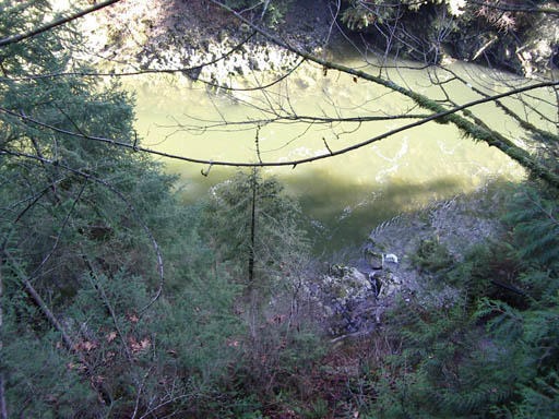 IMGP0280