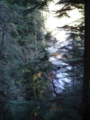 IMGP0283