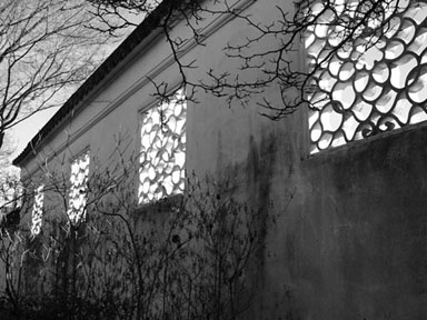 IMGP0323