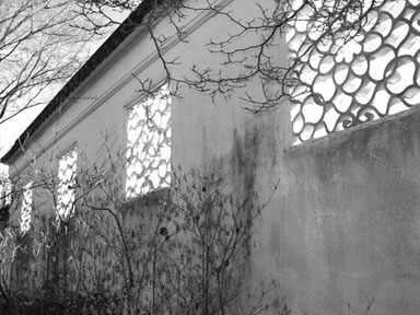 IMGP0324