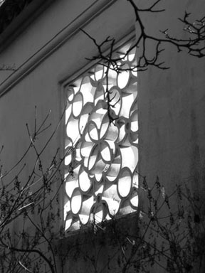 IMGP0326